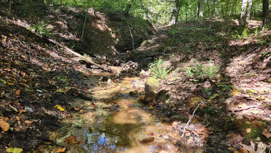 929 Poplar Ridge Road, Gallipolis, OH 45631 - Image #3