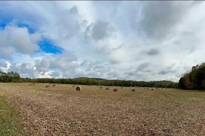 7700 Chatham Road Ne, Newark, OH 43055 - Image #3