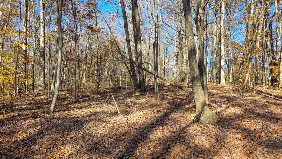 586 Nibert Road, Gallipolis, OH 45631 - Image #3