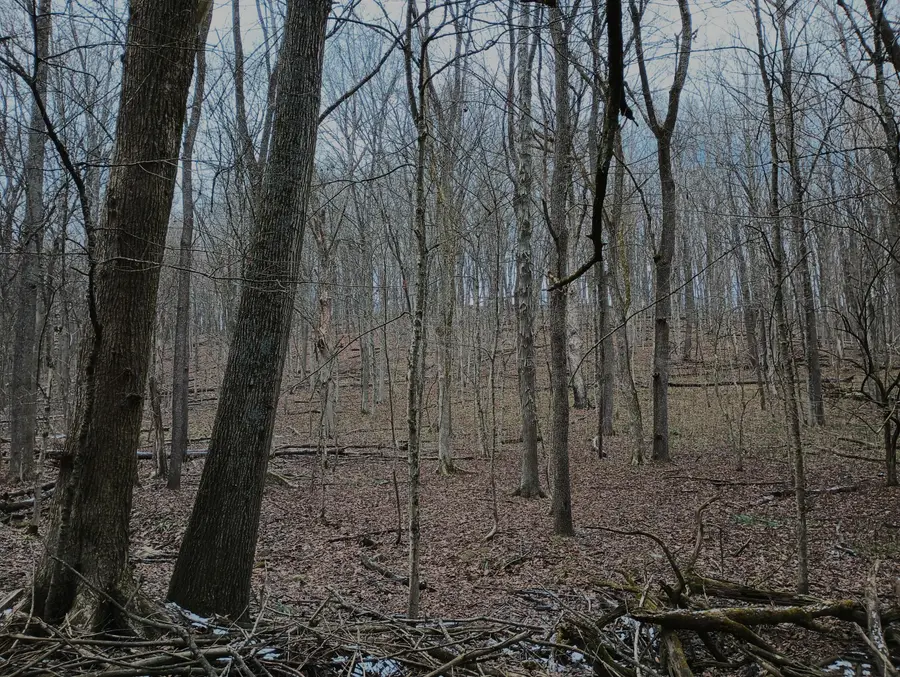 0 Chatham Road, Newark, OH 43055 - Image #3