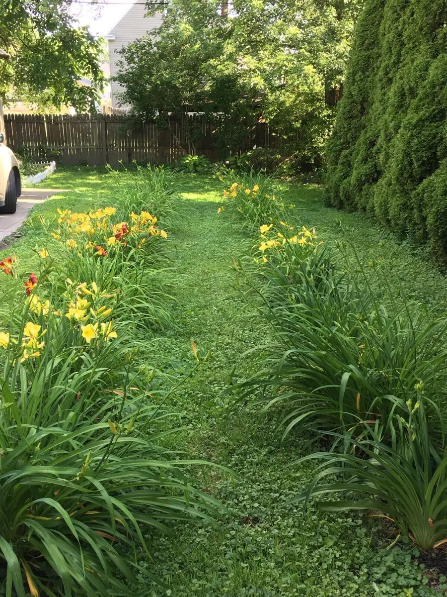 370 Cypress Avenue, Akron, OH 44301 - Image #2