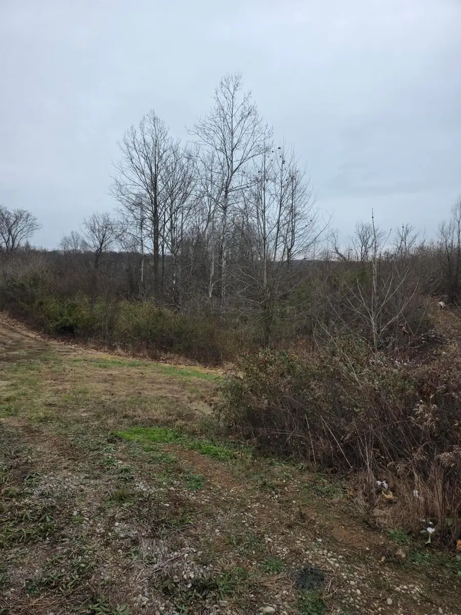 31166 Edmundson Road, Vinton, OH 45686 - Image #2