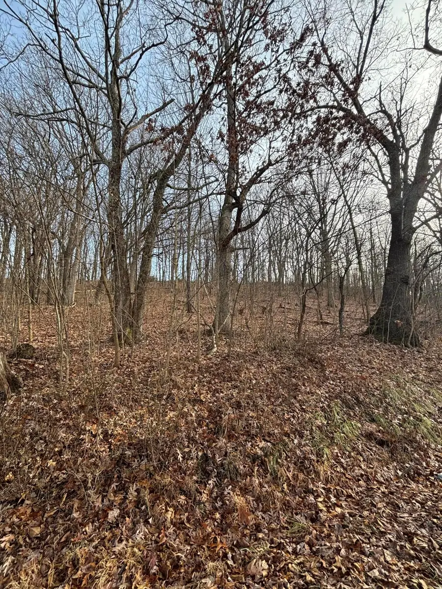 0 E Sd Benner Oh, South Salem, OH 45681 - Image #3