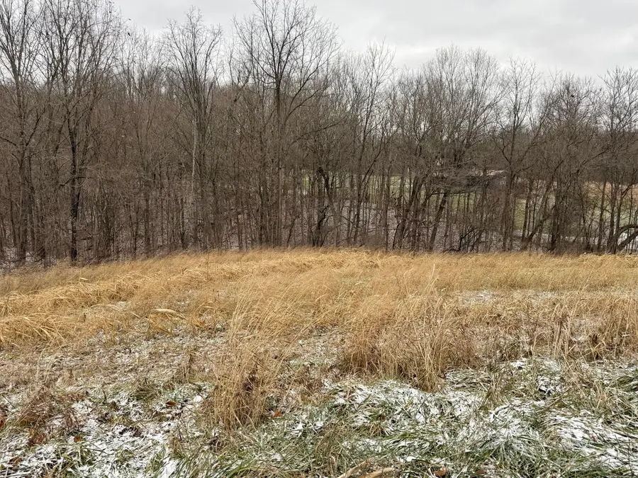 0 Sealover Hollow Road, Philo, OH 43771 - Image #3