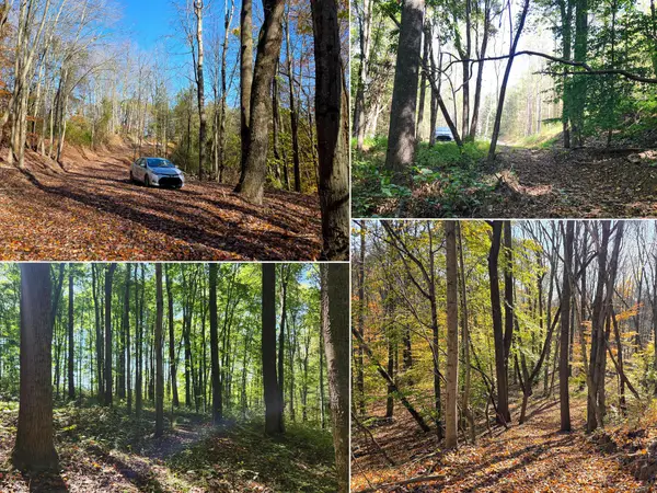 871 Poplar Ridge Road, Gallipolis, OH 45631