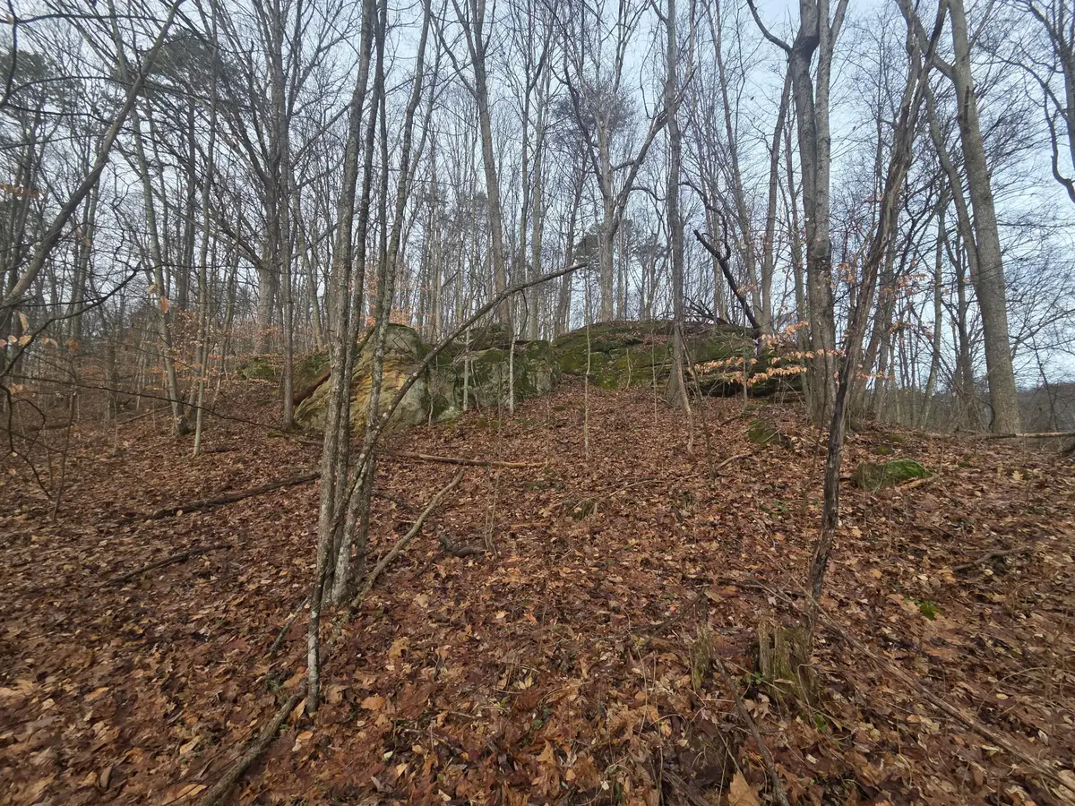 12001 W Buck Run, Rockbridge, OH 43149 - Image #1