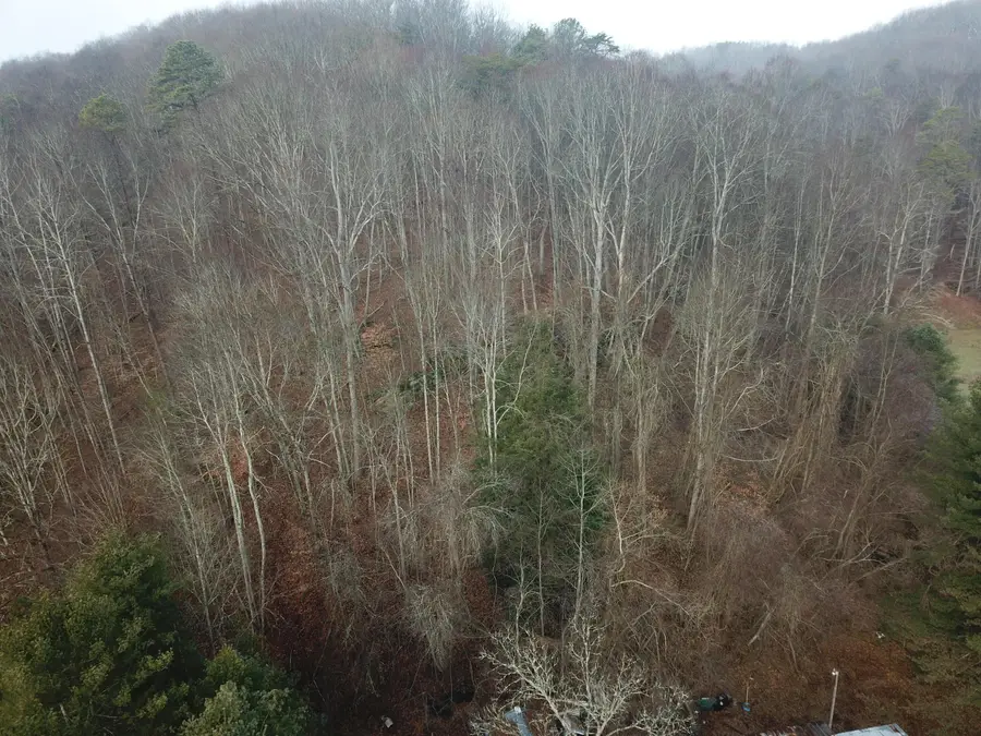 12001 W Buck Run, Rockbridge, OH 43149 - Image #3