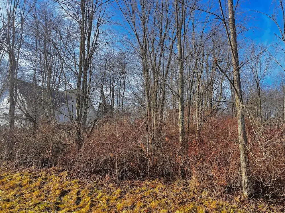 867 Fairway Drive, Howard, OH 43028 - Image #1