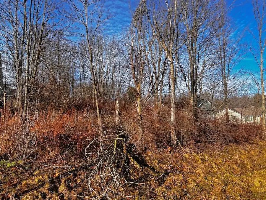 867 Fairway Drive, Howard, OH 43028 - Image #2