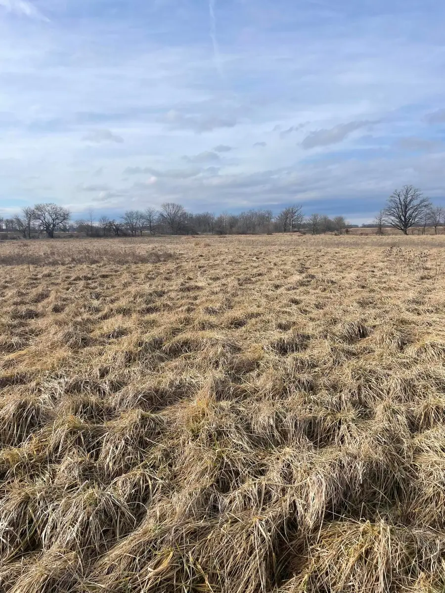 0 Sr 31, Mount Victory, OH 43340 - Image #2