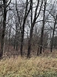 0 Hartford Road, Sunbury, OH 43074 - Image #2