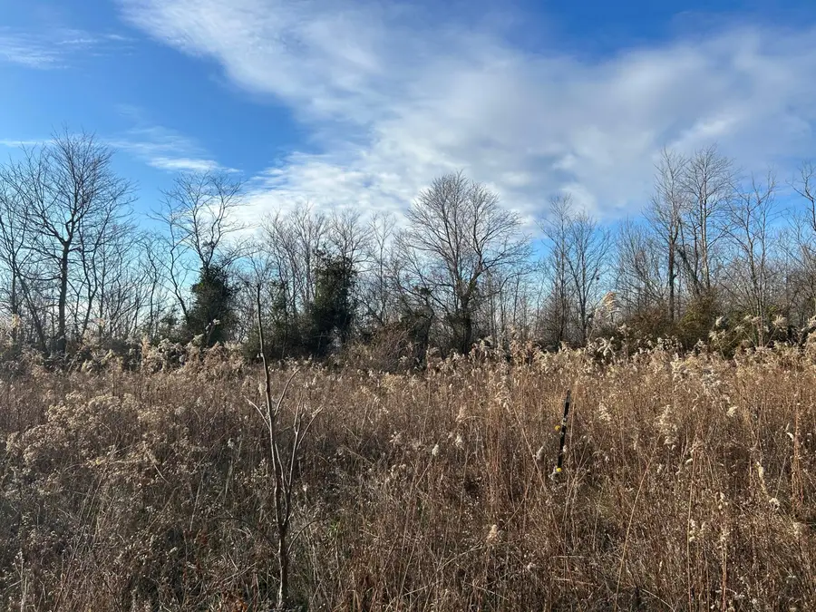 2107 Beekman Ridge Road, Peebles, OH 45660 - Image #2