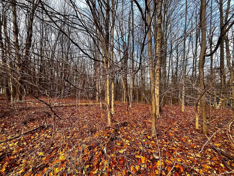 711 Crestrose Circle, Howard, OH 43028 - Image #2