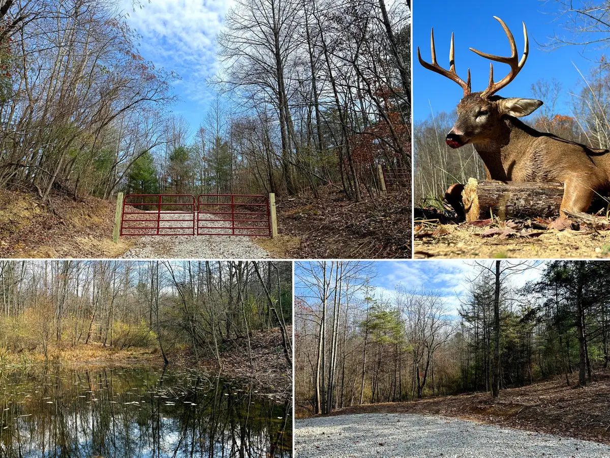 0 Dutch Ridge Road, New Lexington, OH 43764 - Image #1