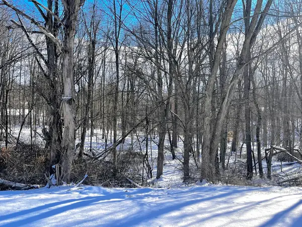 320 Woodlawn Circle, Howard, OH 43028