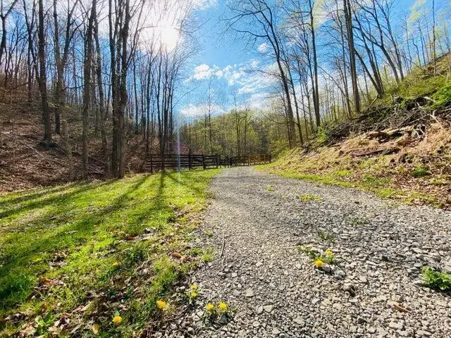 23584 Conrad Road, South Bloomingville, OH 43152 - #3