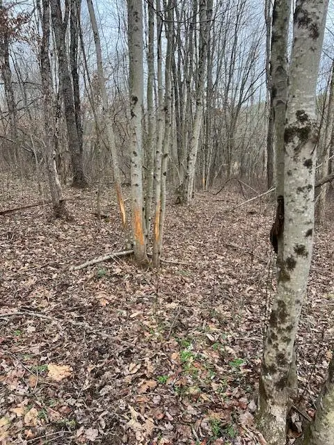 0 County Road 80, Coshocton, OH 43812