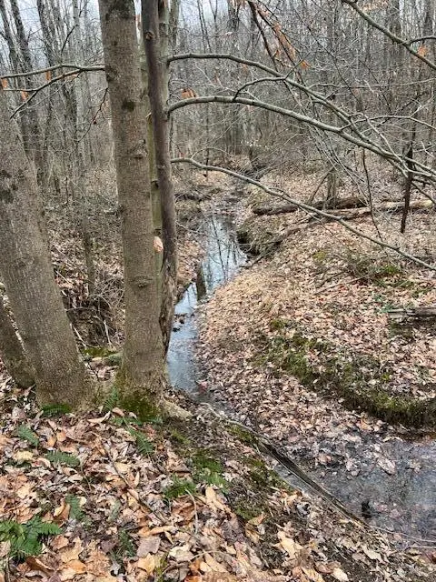 0 County Road 80, Coshocton, OH 43812 - Image #3