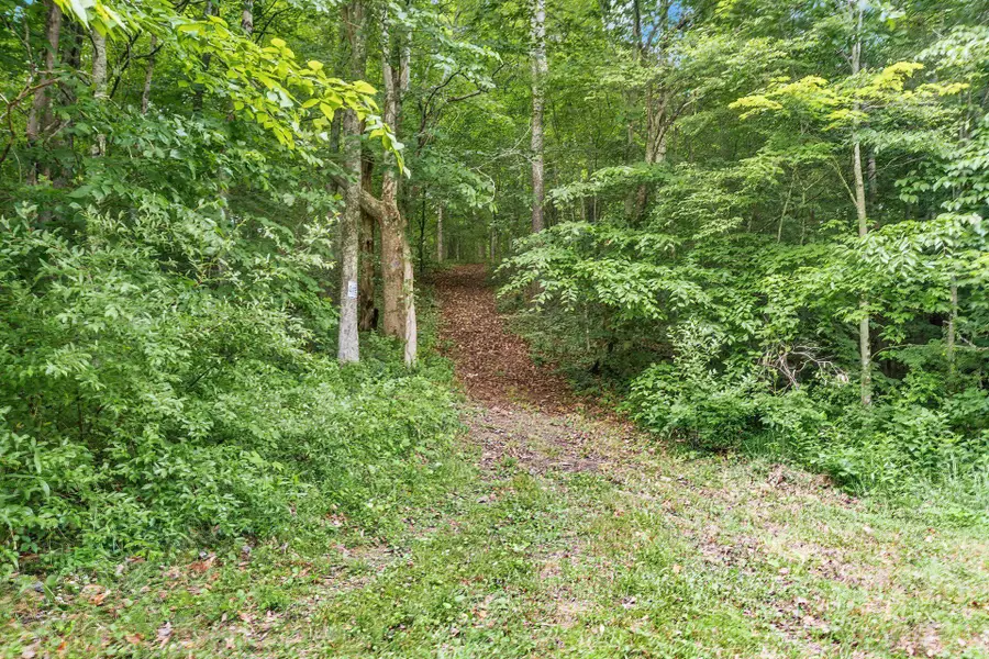 33275 Flat Run Road, McArthur, OH 45651 - Image #2