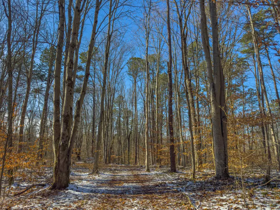 5230 Road, Coolville, OH 45723 - #2