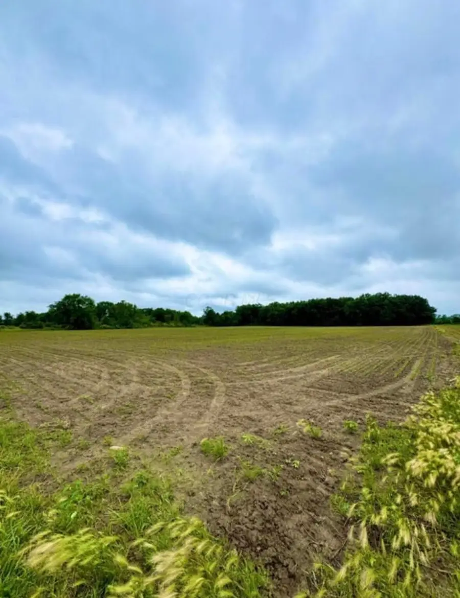1 Dry Lane Road S, La Rue, OH 43332 - #2