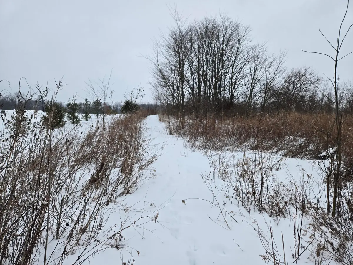 0 Sycamore Road, Centerburg, OH 43011 - #1