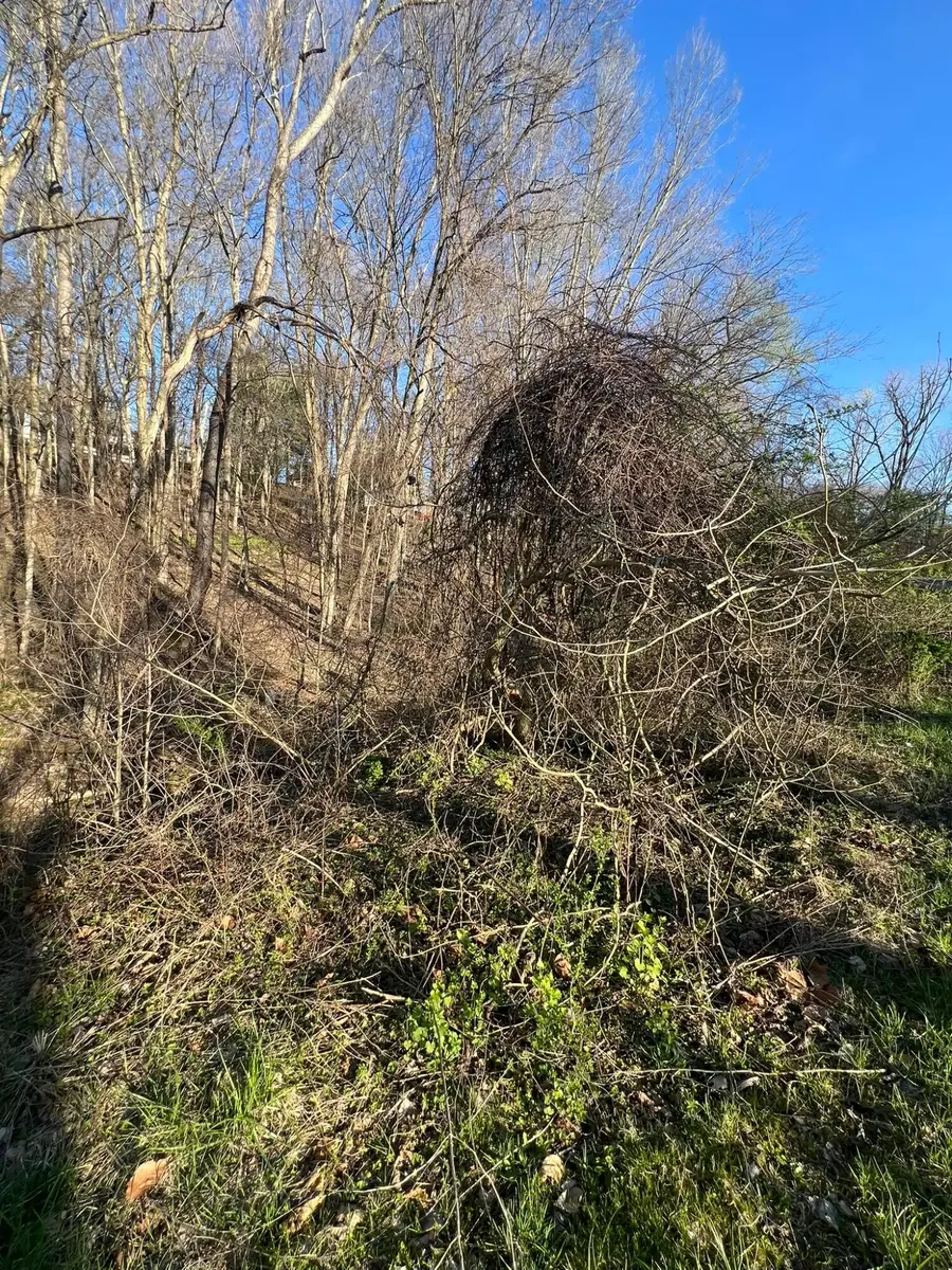 940 Mcintosh Drive, Newark, OH 43055 - #2