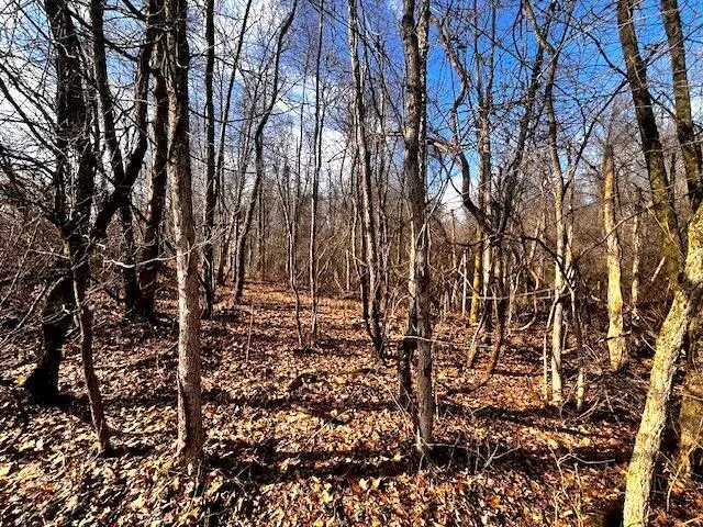 0 Columbus Road, Mount Vernon, OH 43050 - #3