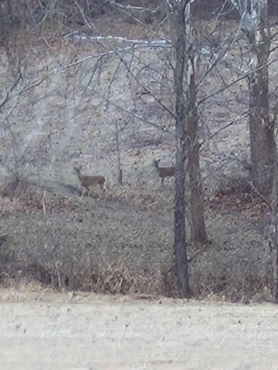 0 Maysville Williams Road, Logan, OH 43138 - #3