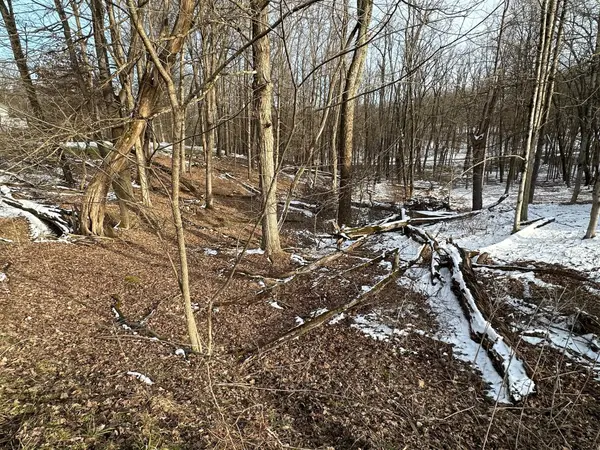 0 Crestrose Drive, Howard, OH 43028