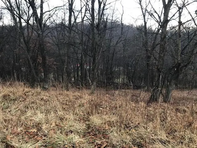 277 Merry Wood Drive Ne, Newark, OH 43055 - #2