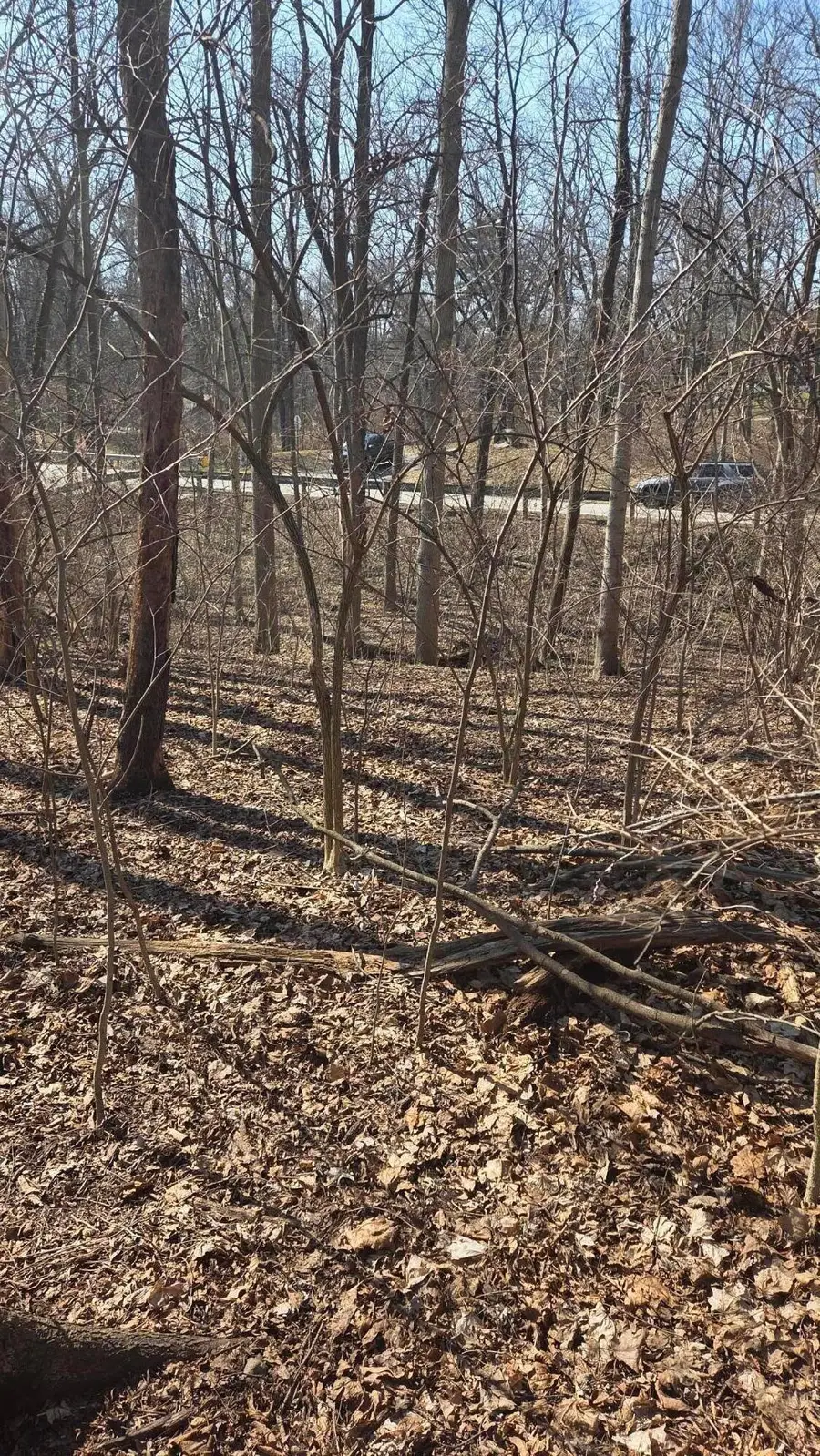 0 Edgecliff Drive, Columbus, OH 43235 - #2