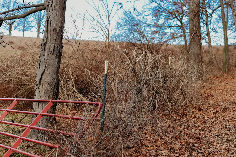 0 Martinsburg Road, Saint Louisville, OH 43071 - #3