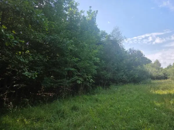7326 Ohio 19, Mount Gilead, OH 43338