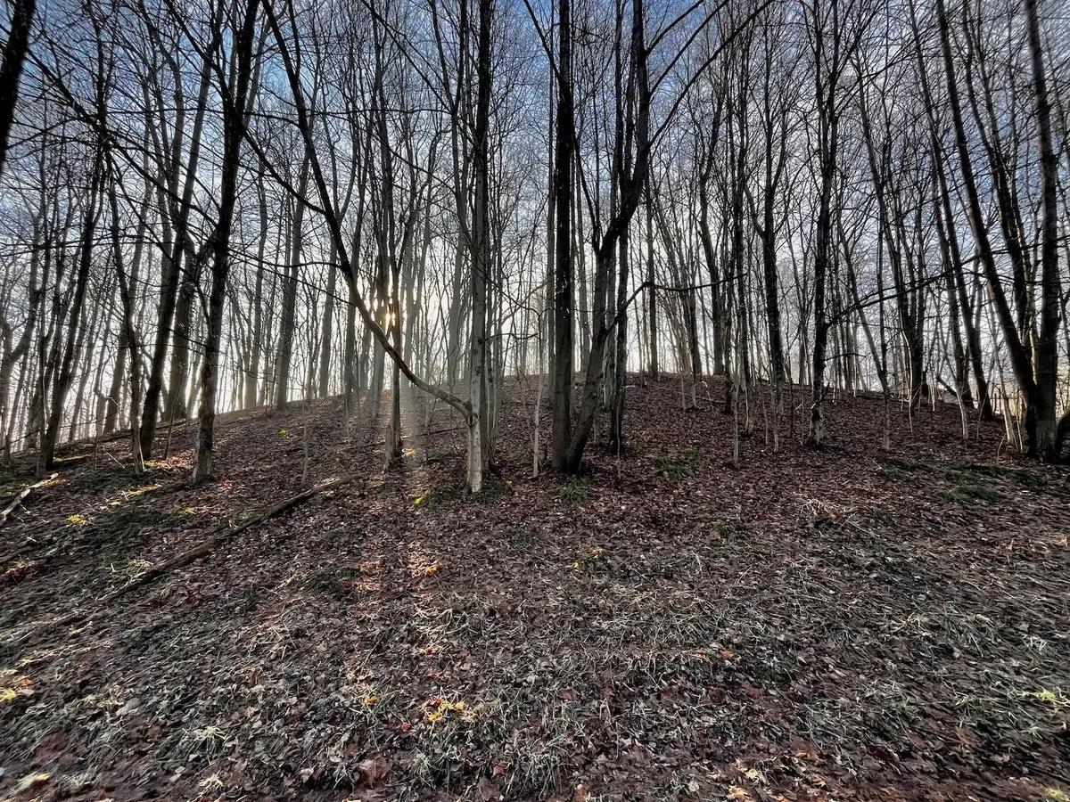 691 Crestrose Drive, Howard, OH 43028 - #1