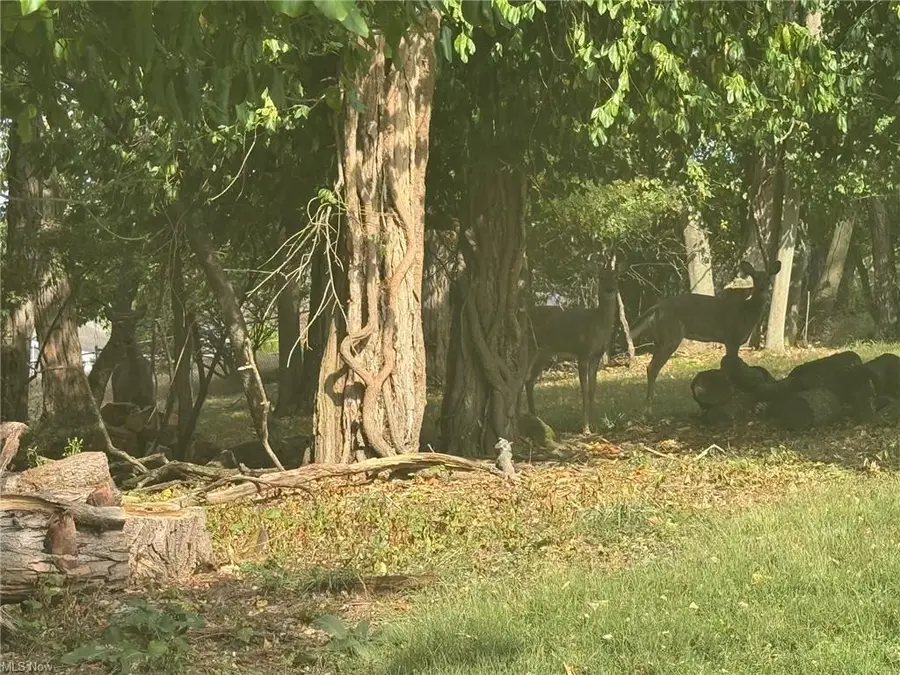 0 W Ray- Lot B Drive, Zanesville, OH 43701 - #3