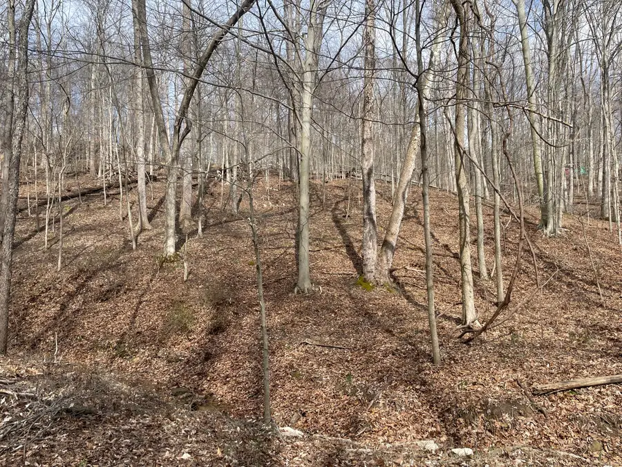 0 Bearclaw Court Se, Sugar Grove, OH 43155 - #2