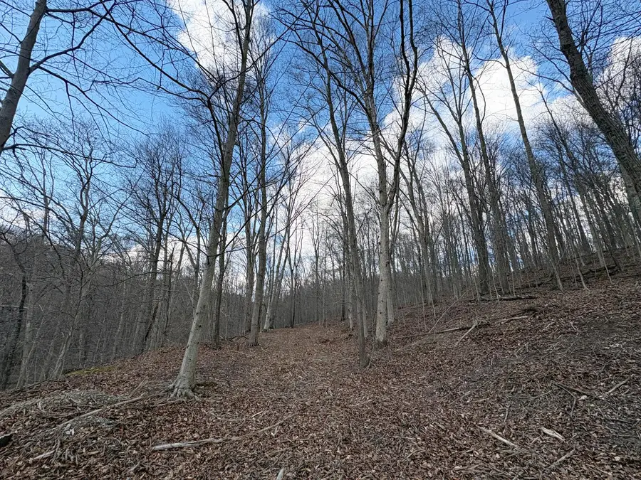 0 Township Road 134 Se, New Straitsville, OH 43766 - #3