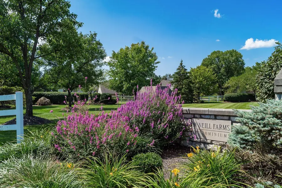 167 Macenroe Drive, Blacklick, OH 43004 - #2