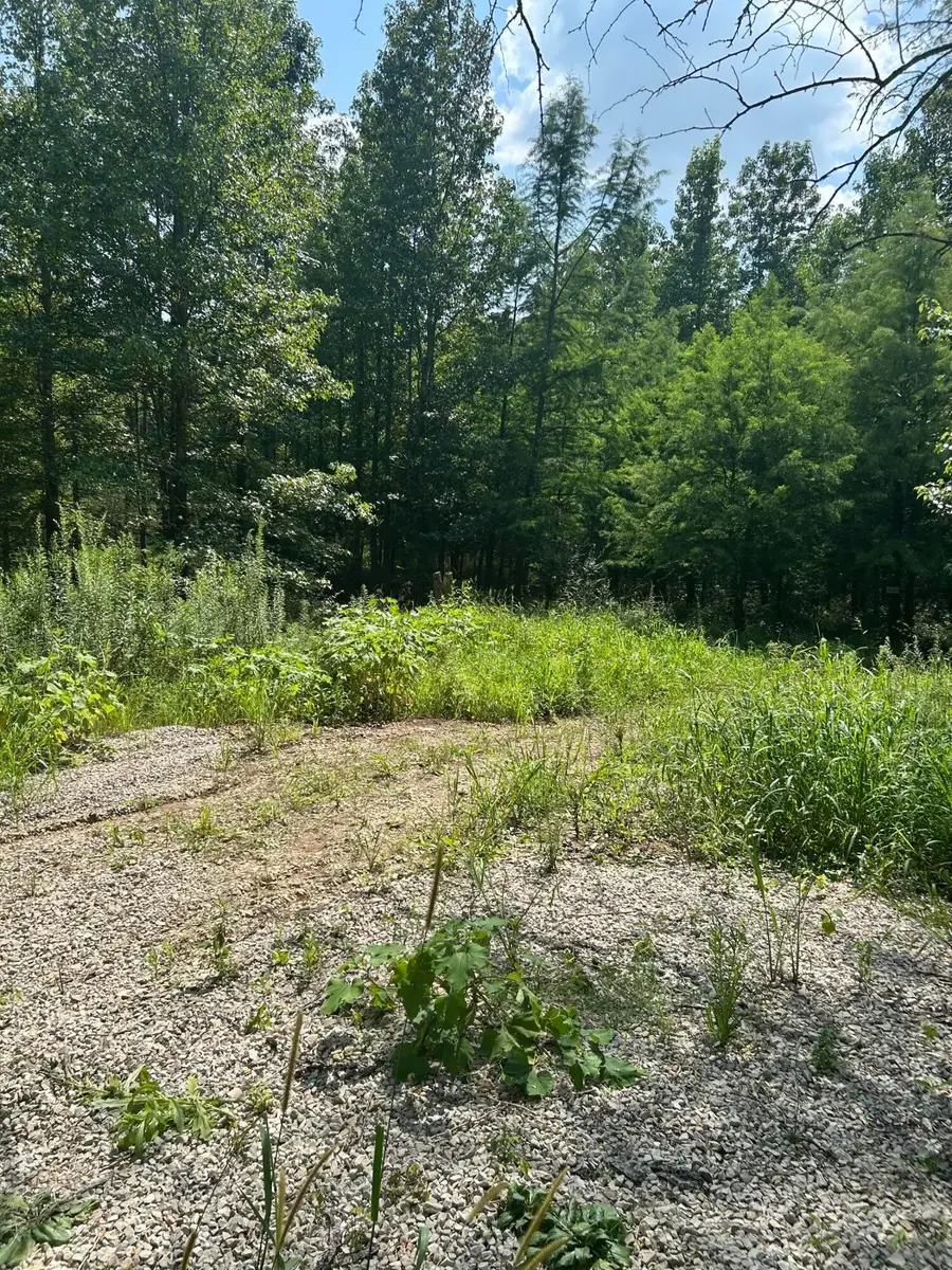 6227 Guinn Road, McConnelsville, OH 43756 - #3