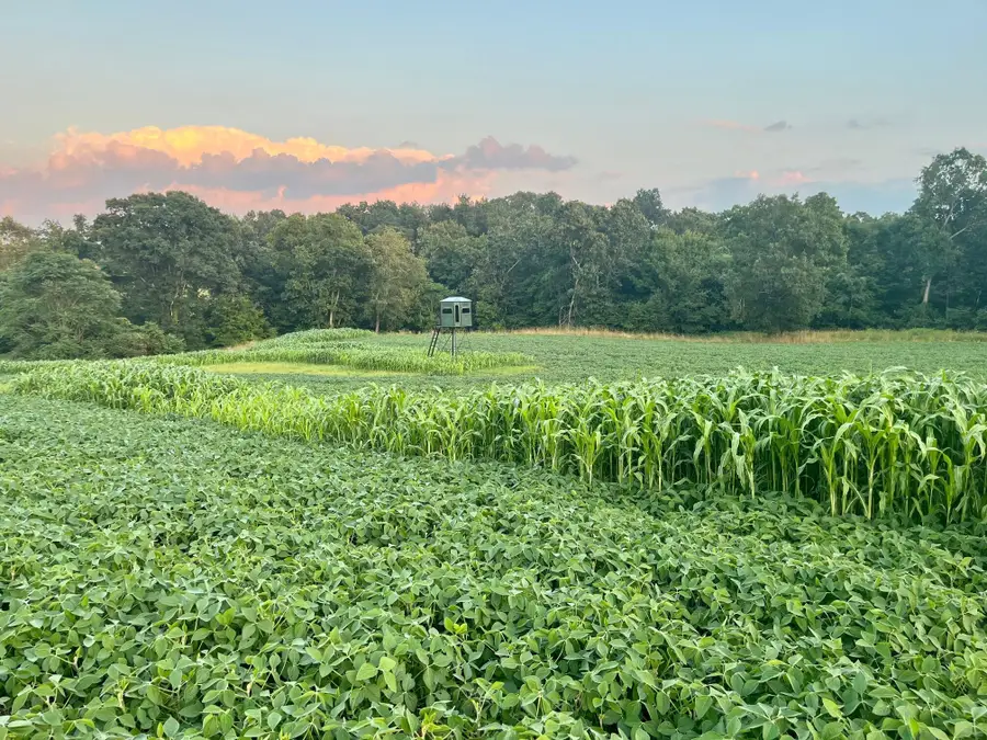 0 Stoneburner Road Nw, Crooksville, OH 43731 - #3