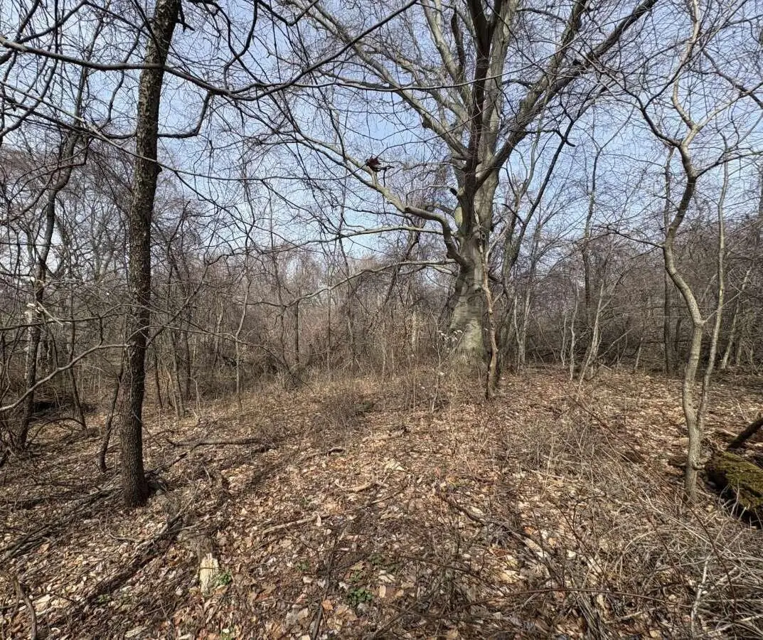 5828 Township Road 14, Mount Gilead, OH 43338 - #1