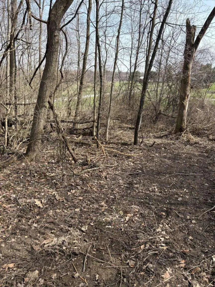 5828 Township Road 14, Mount Gilead, OH 43338 - #2