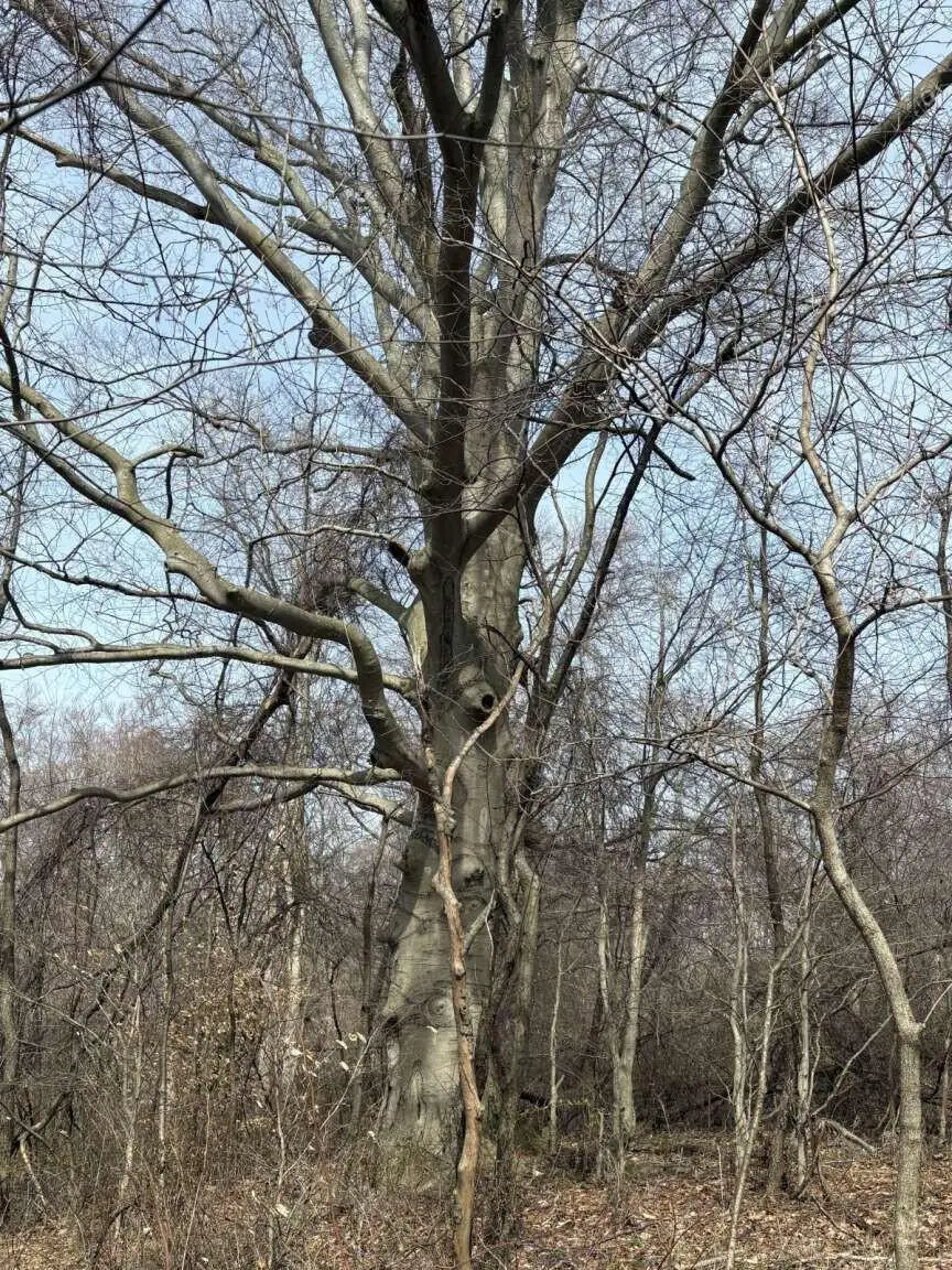 5828 Township Road 14, Mount Gilead, OH 43338 - #3