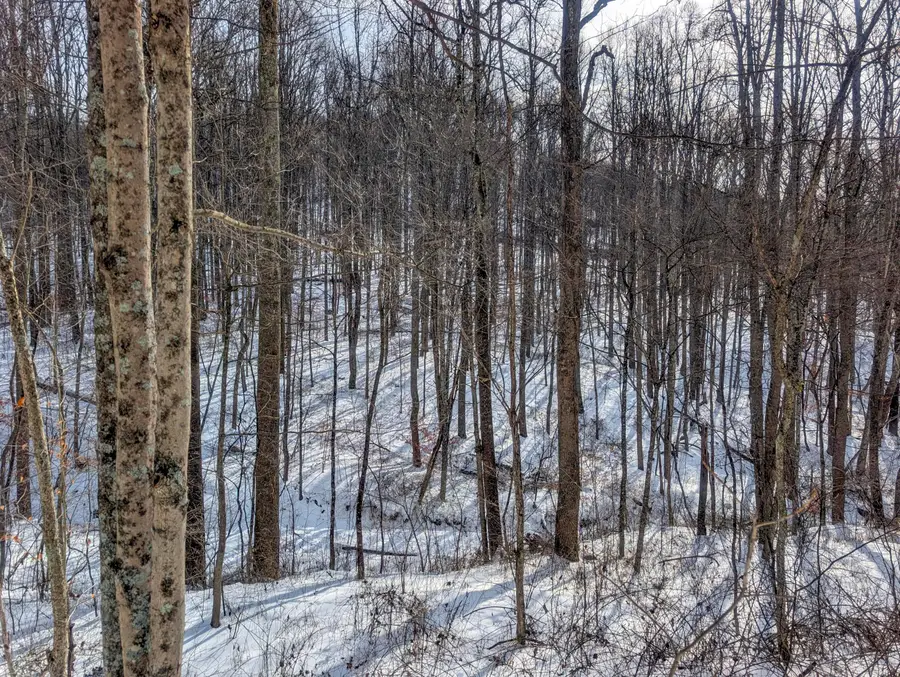 0 Tract 11 Miltonsburg-calais, Woodsfield, OH 43793 - #3