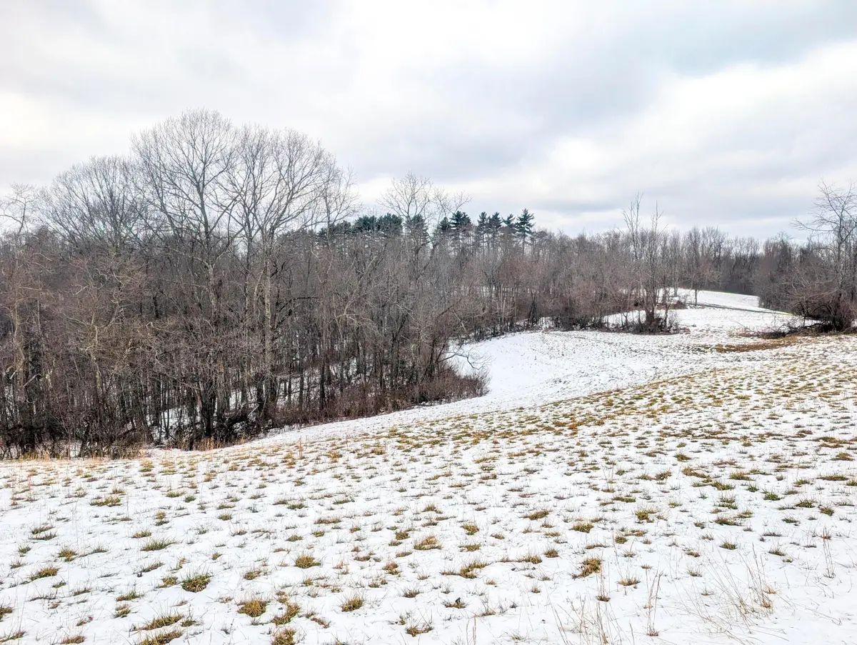 0 Tract 12 Tr 233, Summerfield, OH 43788 - #1