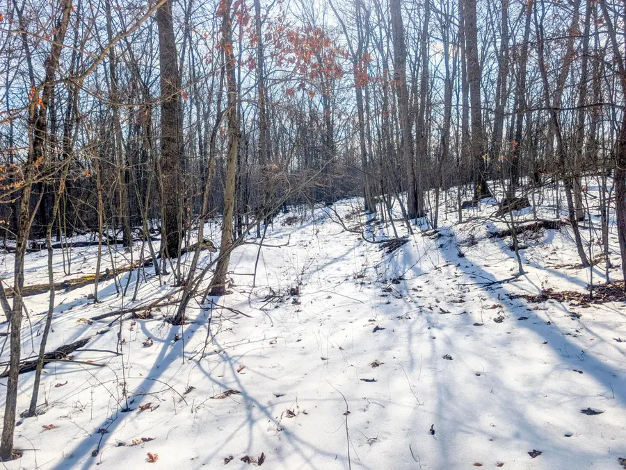 0 County Highway 59, Cutler, OH 45724 - #3