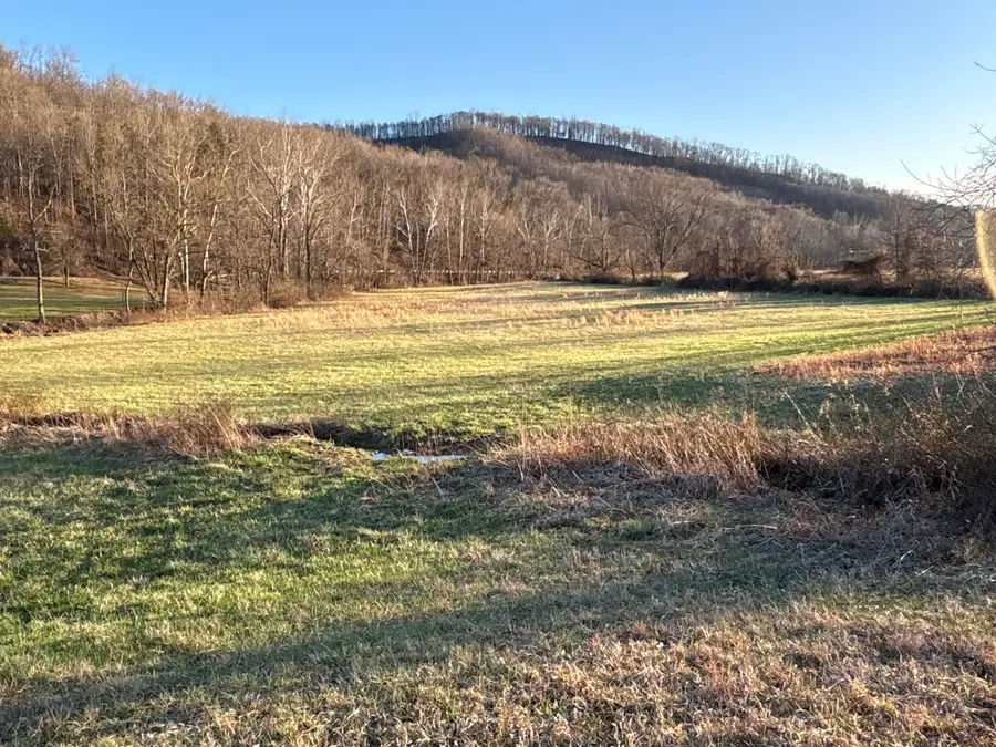 0 Millers Run-fallen Timber Road, Lucasville, OH 45648 - #2