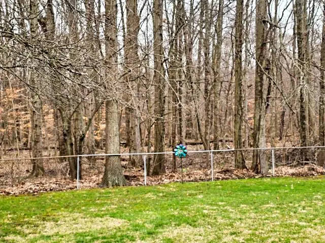 424 Sycamore Drive, Pickerington, OH 43147 - #2