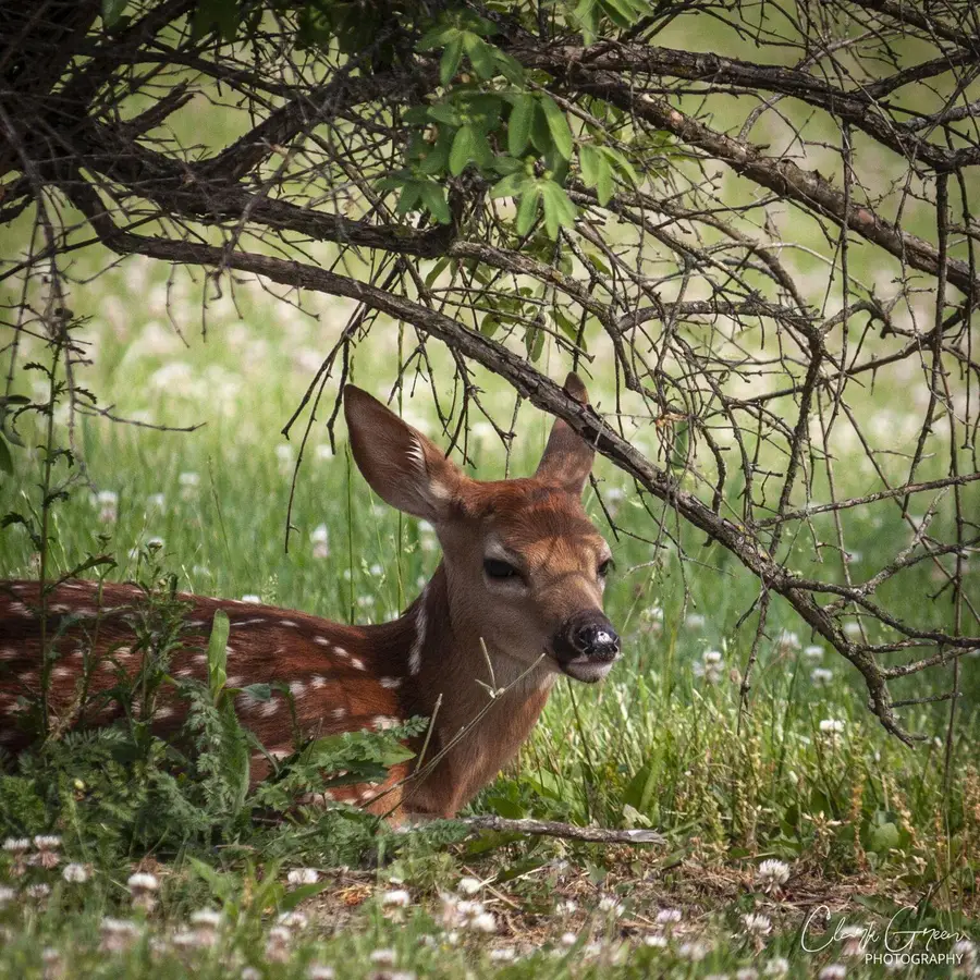 19150 West Darby Road, Marysville, OH 43040 - #3